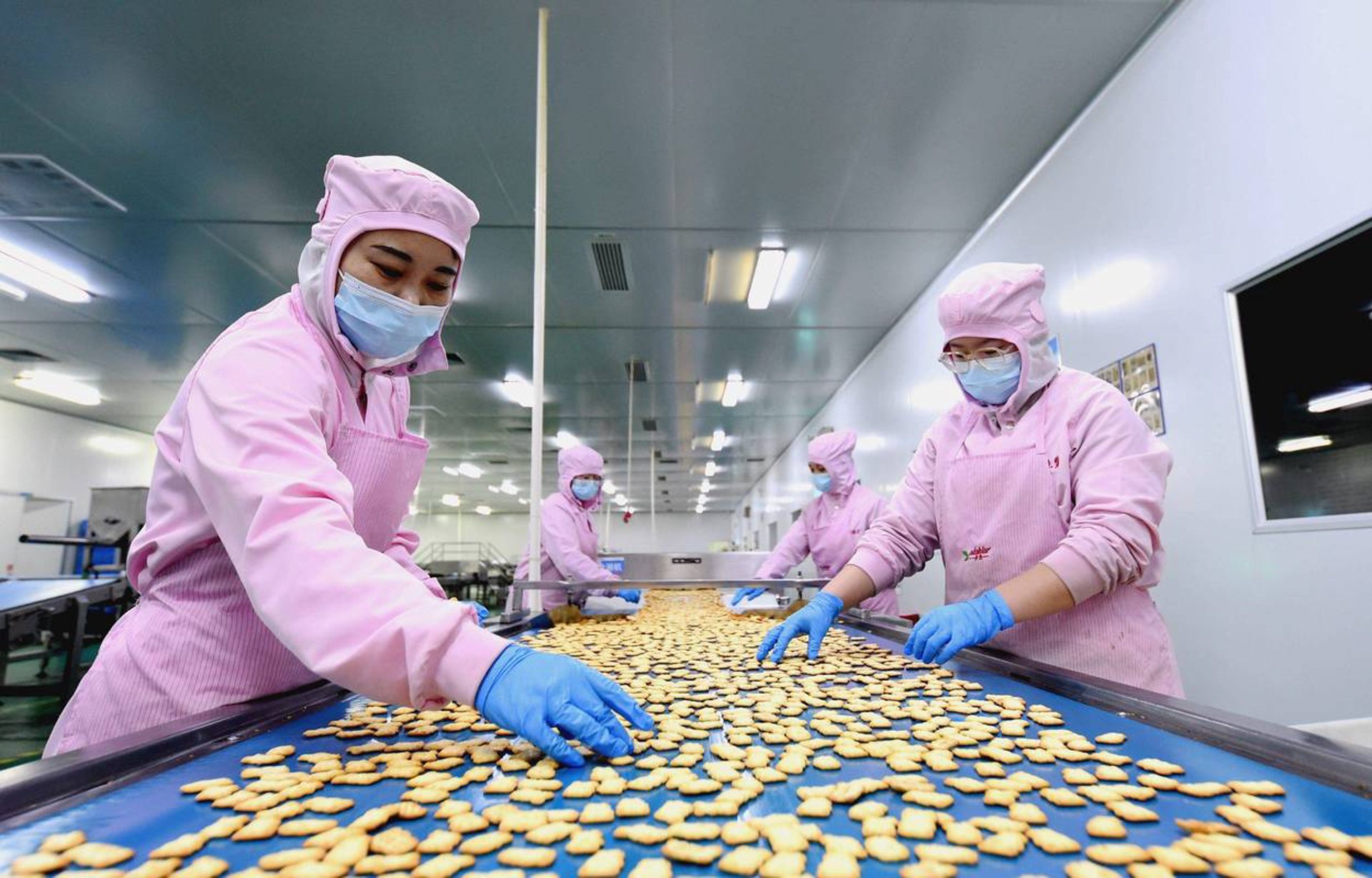 呈泛食品加工